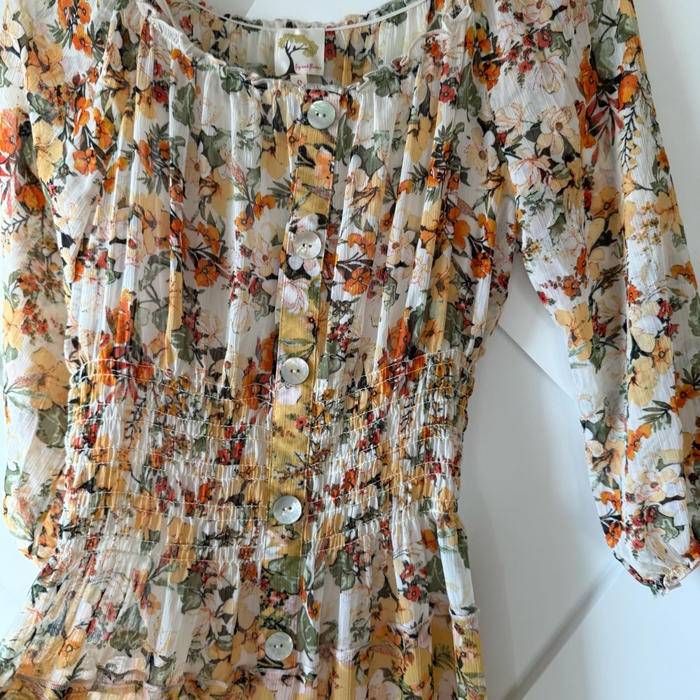 Anthropologie Fig and Flower Chiffon Floral Midi Dress - Picture 11 of 11